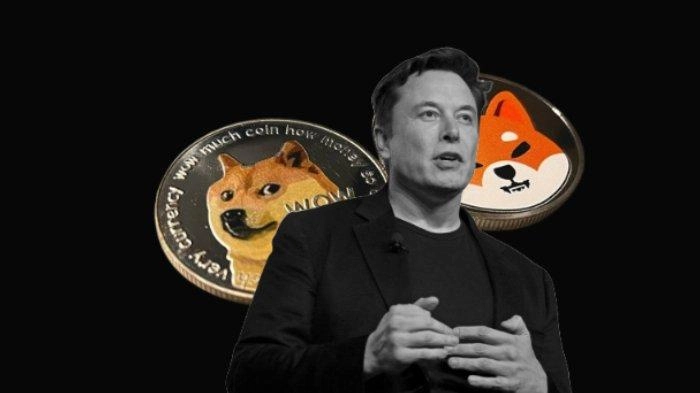 Dogecoin Melonjak 279 Persen Setelah Usulan Elon Musk, Apa Sebabnya?