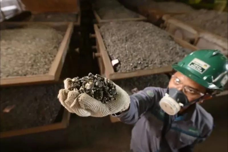 Untuk Bersaing di Global, Industri Nikel Perlu Terapkan Standar Sustainability