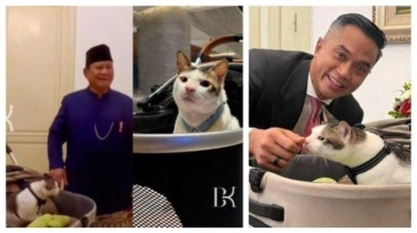 Kucing Presiden Prabowo, Bobby Kertanegara Ikut Diboyong ke Istana, Bikin Gagal Fokus 