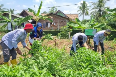 Lubang Bekas Galian C Disulap jadi Kolam Budi Daya Ikan Air Tawar dan Areal Pertanian