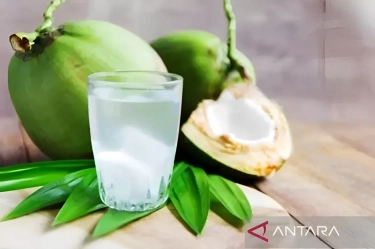 Tidak Banyak Orang Tahu, Ini 5 Alasan Mengapa Air Kelapa Punya Manfaat Bagi Kesehatan Tubuh!