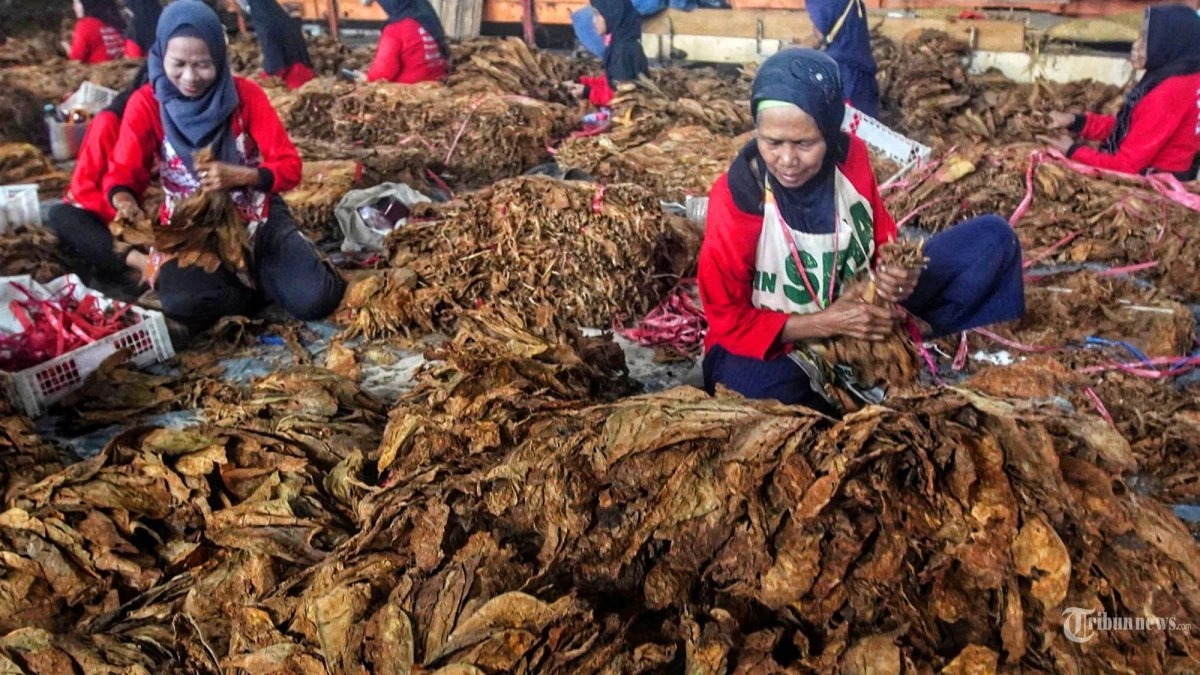 Anggota Komisi IX DPR Ingatkan Pemerintah Cermat Susun Regulasi Tembakau: Punya Dampak Ekonomi