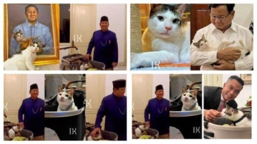 Kucing Kesayangan Presiden Prabowo, Bobby Kertanegara Viral, Dijuluki Kucing Kasta Tertinggi