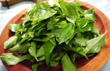 6 Manfaat Daun Kemangi untuk Kesehatan Tubuh yang Jarang Diketahui Banyak Orang, Wajib Tahu!