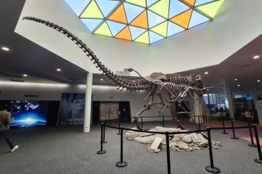 Musim Liburan segera Tiba, ini 10 Rekomendasi Wisata Ramah Anak di Singapura