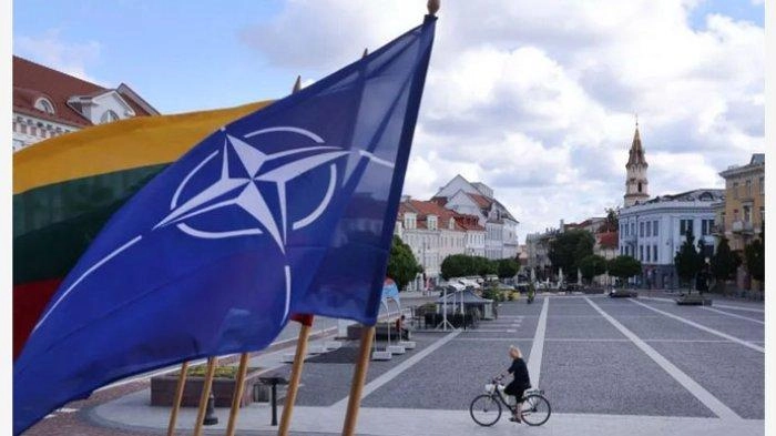 Tujuh Negara Tolak Ukraina Gabung NATO, Ada yang Tak Sudi Karena Picu Perang Dunia III