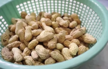 5 Manfaat Kacang Tanah untuk Kesehatan, Salah Satunya Mengontrol Gula Darah
