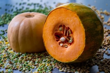 Jangan Langsung Dibuang: Simak Manfaat Biji Labu Kuning untuk Kesehatan, Kaya akan Serat dan Protein