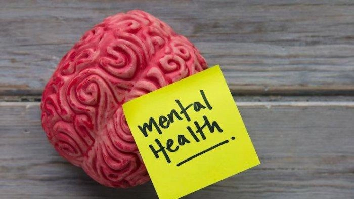 Kemenkes Anjurkan Skrining Kesehatan Jiwa Minimal Setahun Sekali, Berikut Sasarannya