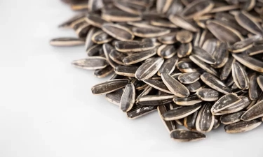 Jarang Diketahui! Ini 4 Manfaat Makan Kuaci untuk Kesehatan Tubuh yang Kaya Antioksidan dan Protein