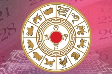Prediksi Tanggal Keberuntungan Shio Selama November 2024: Monyet, Ayam, Anjing, dan Babi