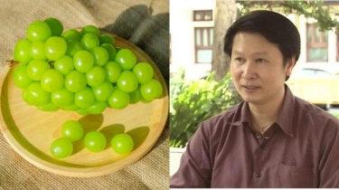 Viral Kasus Anggur Shine Muscat, Ahli Biologi Thailand Nilai Masyarakat Panik Berlebihan