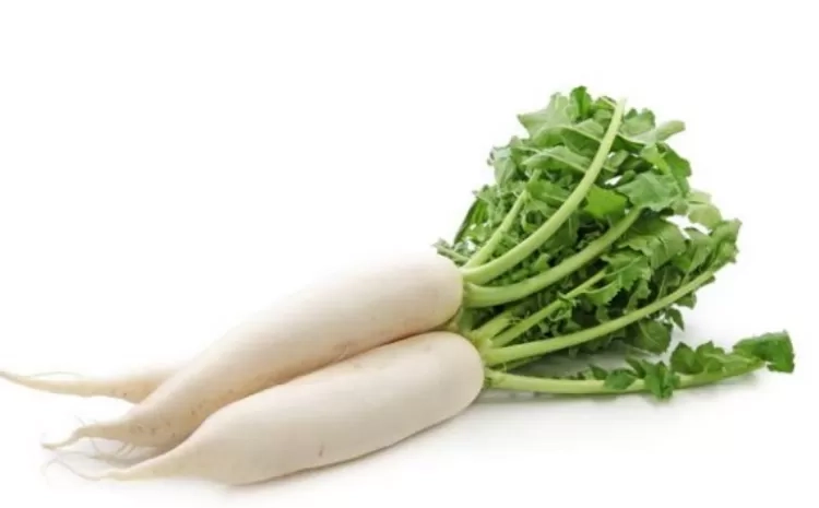 Manfaat Kesehatan dari Lobak: Bagus untuk Pencernaan, Anti Jamur, Anti Kanker, dan Rendah Kalori