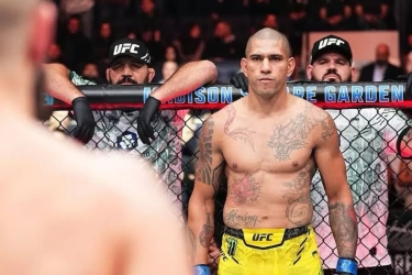 Alex Pereira, Kandidat Terkuat Memenangkan Gelar UFC Fighter of the Year 2024