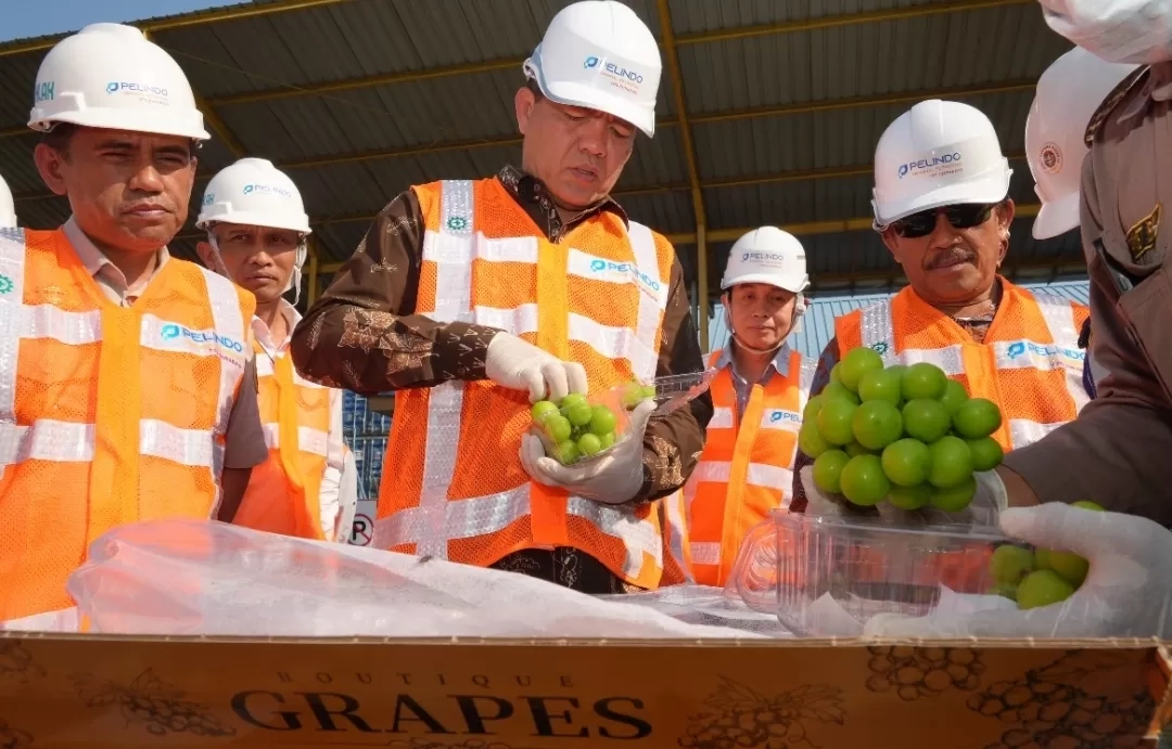 681 Ton Anggur Shine Muscat Masuk ke Indonesia Periode Januari-September, Barantin Pastikan Aman