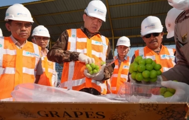 681 Ton Anggur Shine Muscat Masuk ke Indonesia Periode Januari-September, Barantin Pastikan Aman