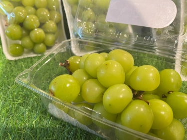 Lakukan Uji Cepat Residu Pestisida, Bapanas Pastikan Anggur Shine Muscat di RI Aman Dikonsumsi
