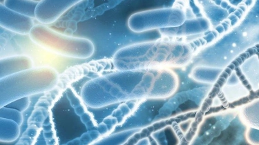 Penyebab Produk Latiao Ditarik BPOM, Kontaminasi Bakteri Timbulkan Sakit Perut hingga Muntah