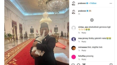 Prabowo Unggah Foto Aksi Menggemaskan Bobby si Kucing: Mencakar Hidung & Gigit Pipi Presiden