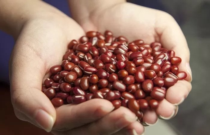 Intip 5 Manfaat Kacang Merah Dapat Menjaga Kesehatan Kulit Menjadi Lebih Muda Lagi
