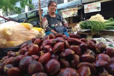Walaupun Miliki Bau Menyengat, Ternyata Jengkol Kaya Akan Manfaat Bagi Kesehatan Tubuh