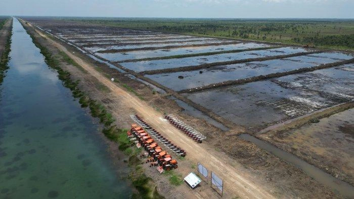 DPR Minta Akademisi dan Para Ahli Dilibatkan untuk Uji Kelayakan Agar Proyek Cetak Sawah Tak Gagal