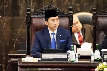 Ibas Yakin Kehadiran Superholding Danantara Mampu Perkuat Investasi Nasional