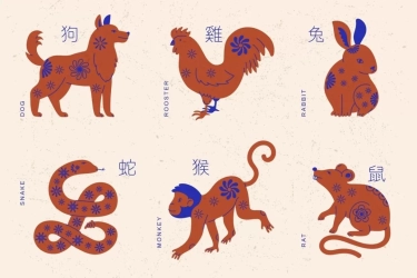 Keberuntungan Besar Menanti! Ramalan Shio Ayam, Tikus, Harimau, dan Kuda di November 2024