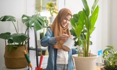 Mengenal Kepribadian Seseorang Melalui Hobi dari Sisi Psikologis, Mulai dari Memahami Preferensi Hobi hingga Motivasi Dibalik Hobi Tersebut