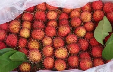 5 Manfaat Buah Rambutan Untuk Kesehatan, Salah Satunya Membantu Meningkatkan kesehatan kulit