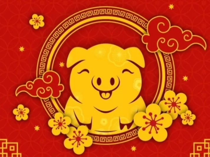 Rahasia Kesuksesan Karir Shio Babi, Harimau, Anjing, dan Naga, Simak Ramalan Keberuntungan pada November 2024