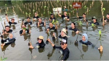 Semarak Hari Pohon Sedunia, Ikatan Alumni Universitas Trisakti Gelar Aksi Tanam Mangrove di Jakarta