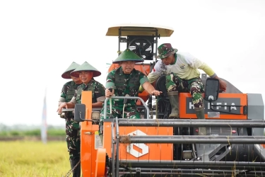 Ke Merauke, KSAD Jenderal Maruli Simanjuntak Cek Program Ketahanan Pangan dan Manunggal Air