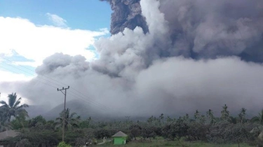 Prabowo Sempatkan Gelar Ratas di AS Bahas Bencana Erupsi Gunung Lewotobi Laki Laki