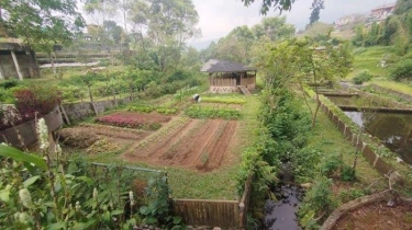 Melihat Kebun Peninggalan Pastor Agatho Elsener OFMCap, Perintis Pertanian Organis di Indonesia