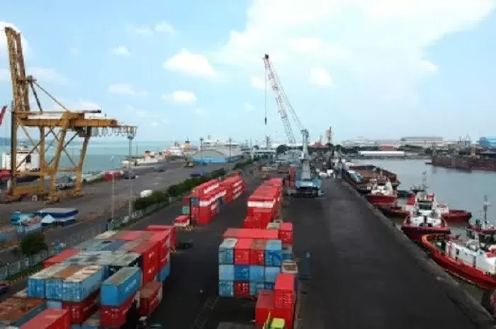 Ekspor RI Naik 10,69 Persen jadi USD24,41 Miliar per Oktober 2024