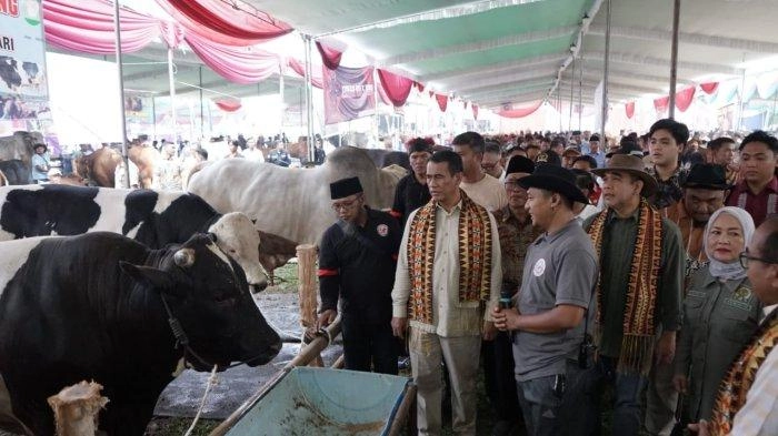 Mentan Amran Respons Cepat Keluhan Peternak Lampung soal Harga Daging Sapi