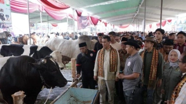 Mentan Amran Respons Cepat Keluhan Peternak Lampung soal Harga Daging Sapi