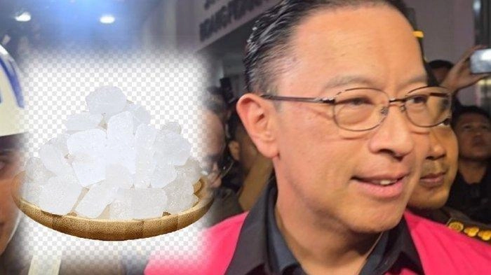Pakar Hukum Minta Hakim Praperadilan Gali Motif Politis terkait Penetapan Tersangka Tom Lembong