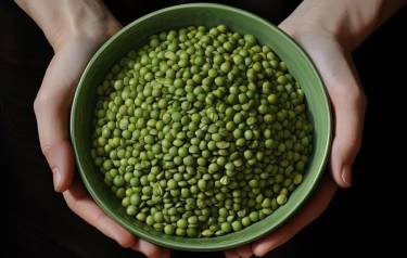 Simak! 6 Manfaat Kacang Hijau untuk Ibu Hamil, Salah Satunya Dapat Mencegah Bayi Lahir Cacat