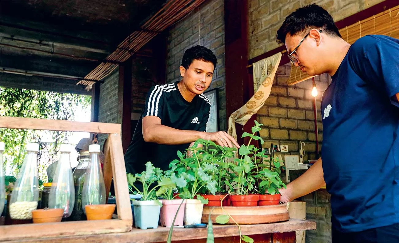 Bercocok Tanam dengan Teknik Permakultur, Sistem Tanam Berkelanjutan yang Selaras dengan Alam