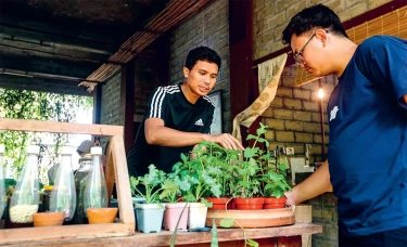 Bercocok Tanam dengan Teknik Permakultur, Sistem Tanam Berkelanjutan yang Selaras dengan Alam