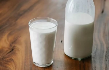 Ketahui! Manfaat Susu Penuh Lemak bagi Kesehatan Tubuh Anda untuk Menambah Berat Badan Secara Efektif