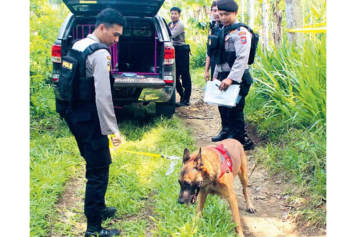 Menteri PPPA Kawal Proses Hukum Kasus Rudapaksa Bocah 7 Tahun, Polresta Banyuwangi Terjunkan K9