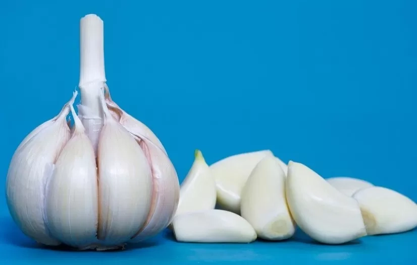 5 Manfaat yang akan Anda Rasakan Jika Makan Bawang Putih Mentah Setiap Hari