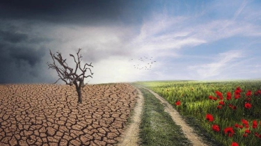 Perubahan Iklim Ancam Sektor Pertanian dan Peternakan Pakistan