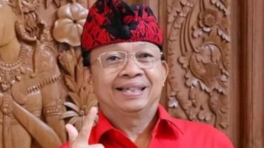 Dr. Ir. I Wayan Koster, M.M.