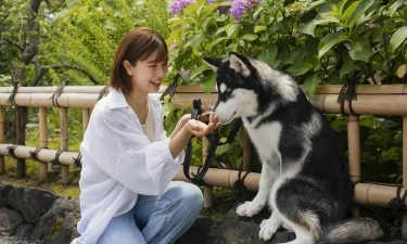 Ciri Kepribadian Orang yang Memelihara Anjing di Rumahnya, Salah Satunya Cenderung Ekstrovert dan Berenergi