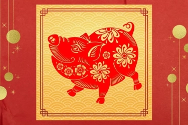 Ramalan Shio Hari Ini, 23 November 2024 untuk Monyet, Ayam, Anjing, dan Babi