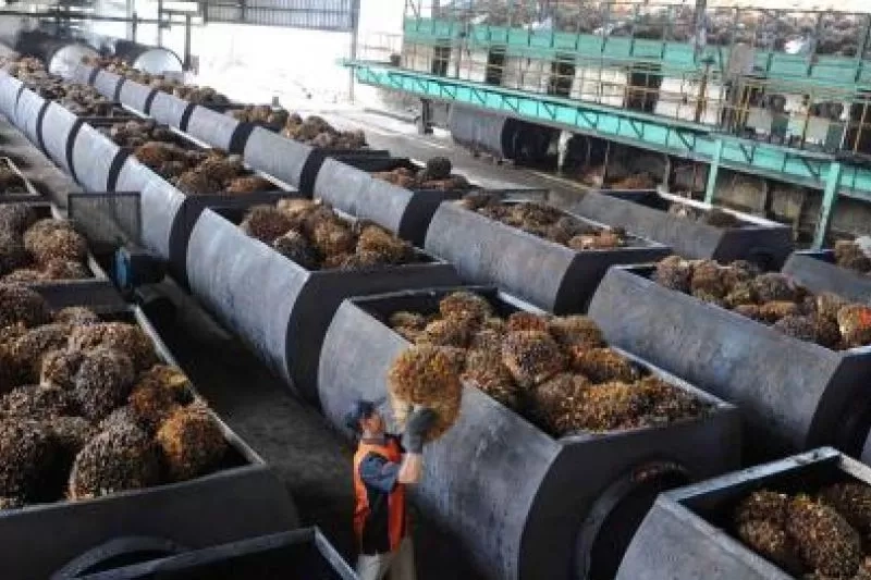 Jika Dimanfaatkan, Limbah Cair Pabrik Sawit Dapat Mendukung Target Pertumbuhan Ekonomi 8 Persen